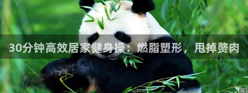 龙八国际官方网