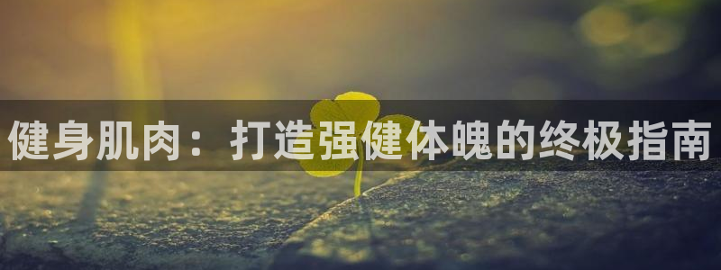 龙8国际头号玩家下载