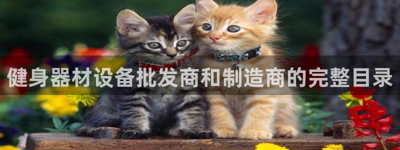 龙8国际线上