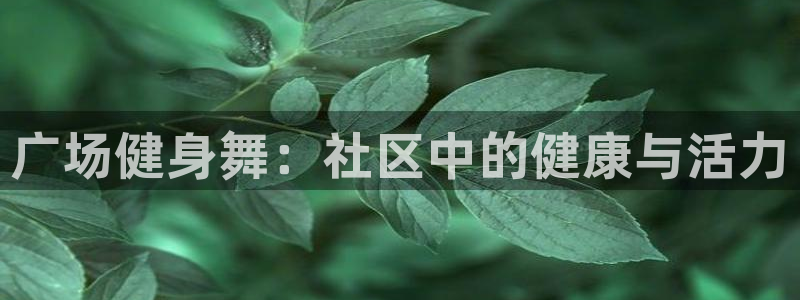 龙八国际官网下载