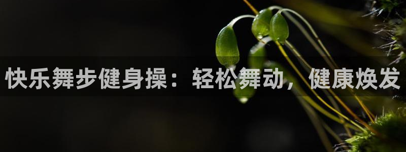龙8国际游资如何
