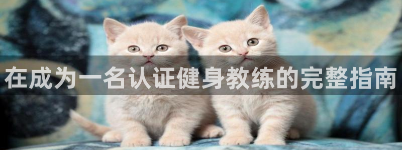 龙8国际long88(中国)官方网站