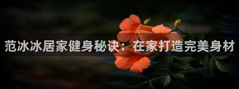 龙8国际com