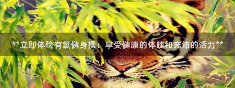 龙8国际下载