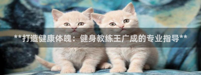 龙8国际官方网址