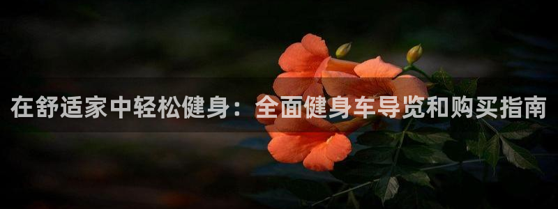 龙八国际服官网入口