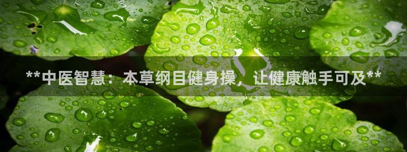 龙8国际long8