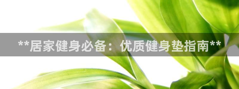 龙8国际的漏洞