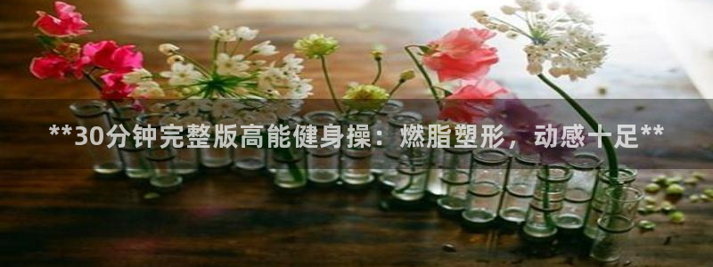 国际龙8下载