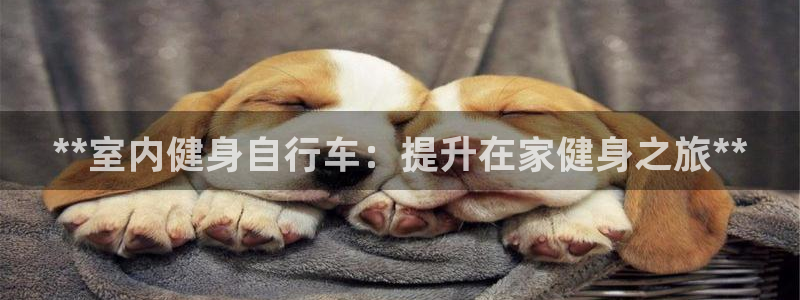 龙8国际手机版app