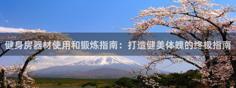 龙8国际头号玩家下载