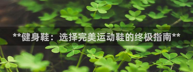 龙8国际手机版官网