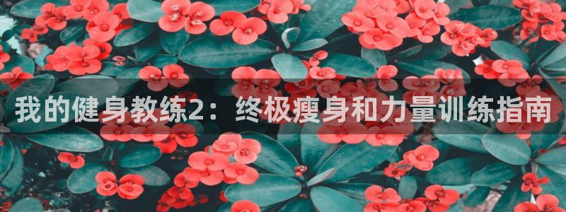 下载龙八国际官网