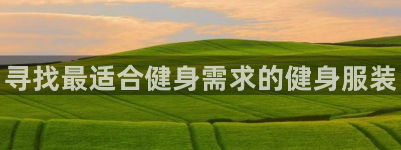 龙八国际城