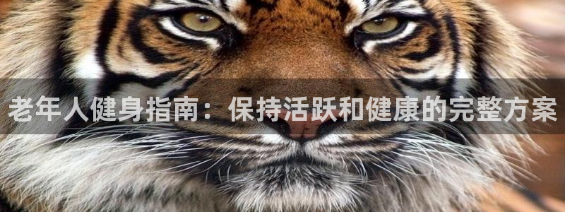 龙8国际pt网址官方