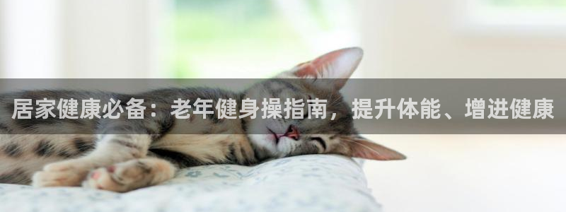 龙8国际头号玩家