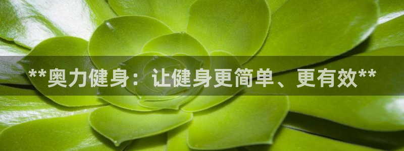 国际龙8下载