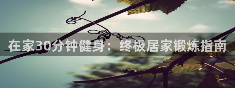 龙8国际欢迎您