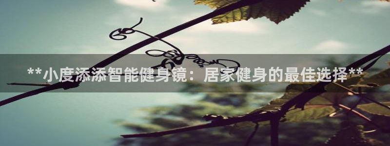 龙8国际long123