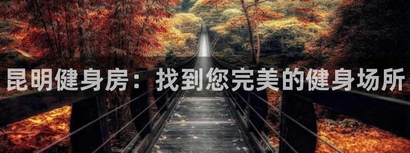 龙8电子游艺网址多少