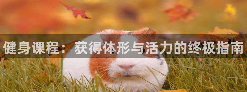 龙8游戏网站
