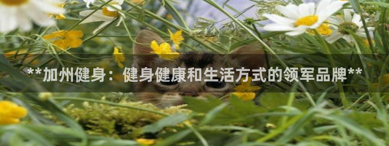龙8国际网址多少