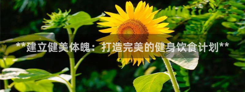 龙8国际官网首页