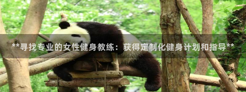 龙8老虎机游戏网站多少