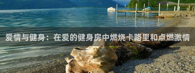 龙8国际电子平台