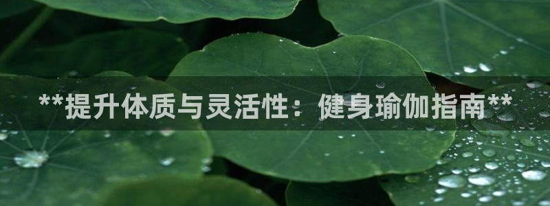 龙8国际pt官网