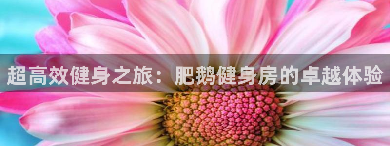龙8国际欢迎您