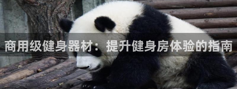 龙8游戏官方网站z