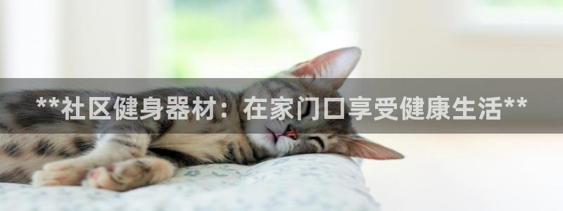 龙8国际官网正版