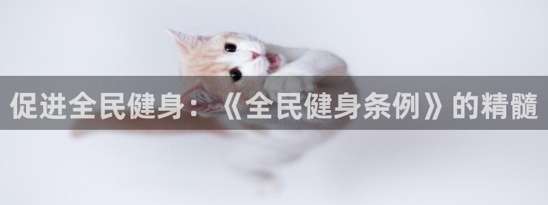 龙8国际-我的