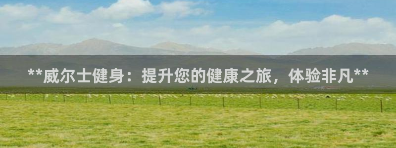 龙8国际平台官网