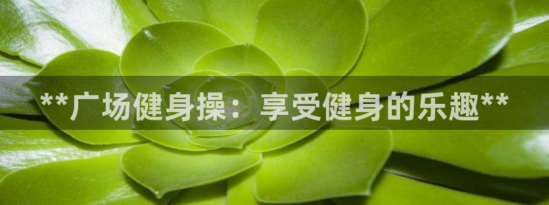 龙8国际long8龙8游戏