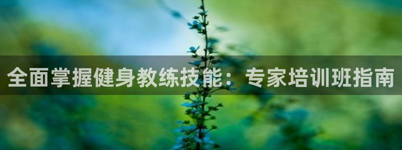 龙8国际在线