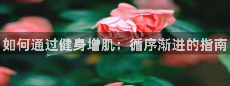 龙8国际手机官网下载