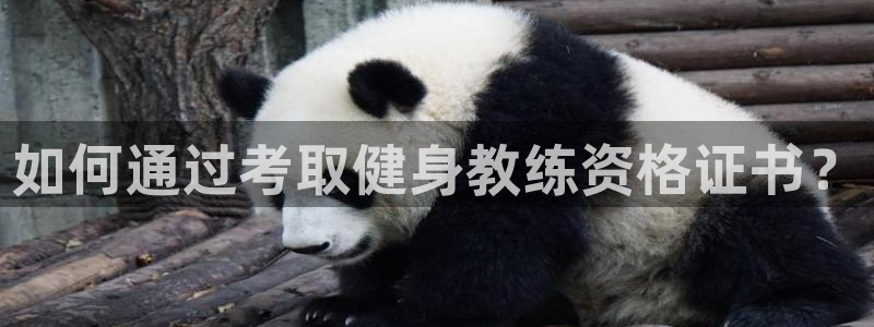 龙8国际pt官网