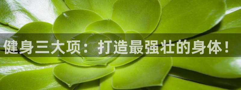 龙8国际官网版最新版下载