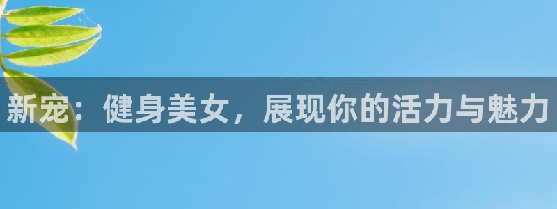 龙8国际手机版app