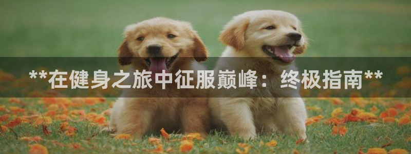 龙8国际pt