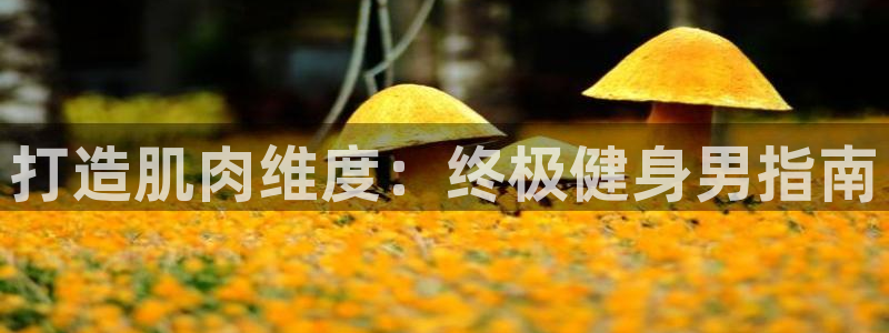 龙8国际平台