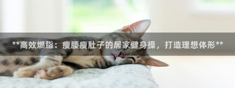龙八国际服官网入口