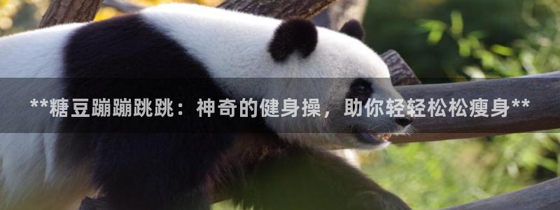 龙8官网正版