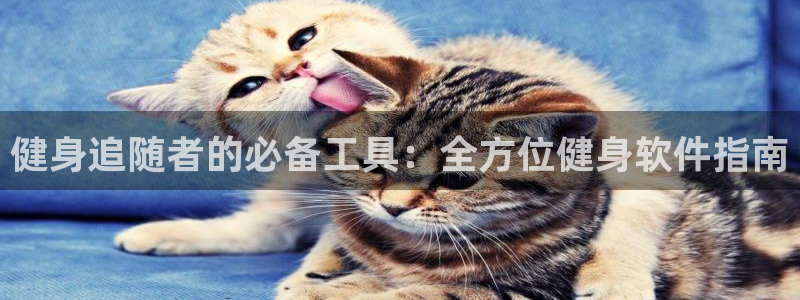 龙八国际娱乐官方网站