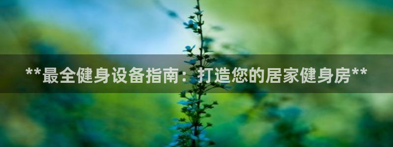 龙8国际电子游戏