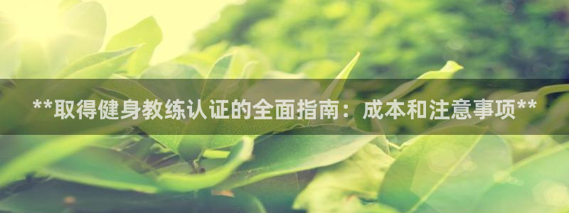 龙8国际游资如何