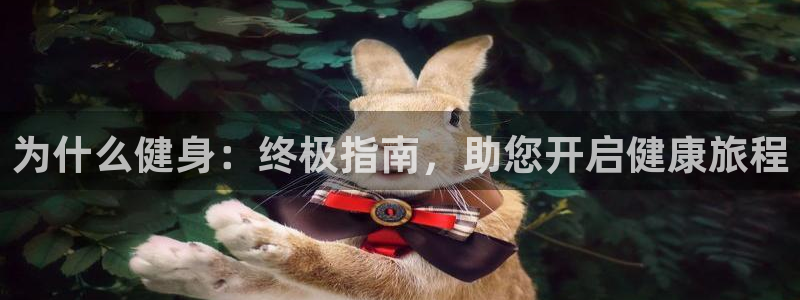 龙8国际pt