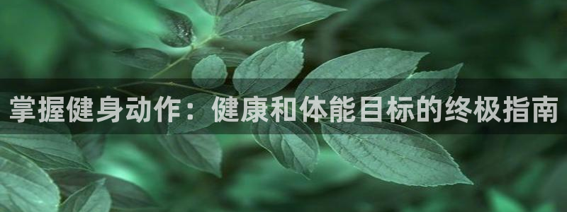 龙8头号玩家游戏官方进入